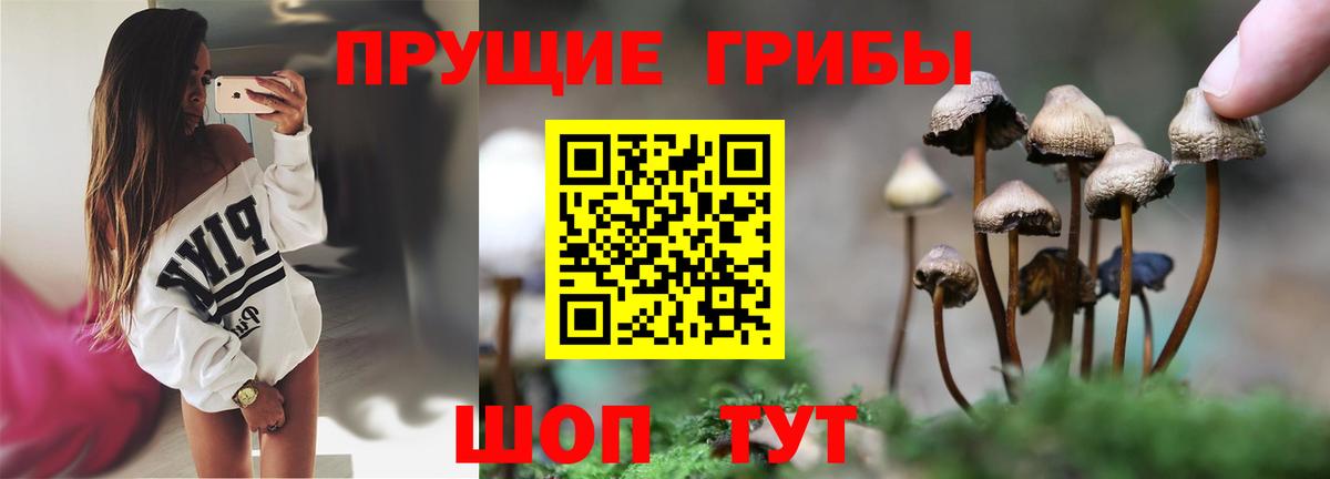 Галлюциногенные грибы Cubensis  Галлюциногенные грибы MAGIC MUSHROOMS  Долгопрудный  дарнет шоп  Вход с VPN 